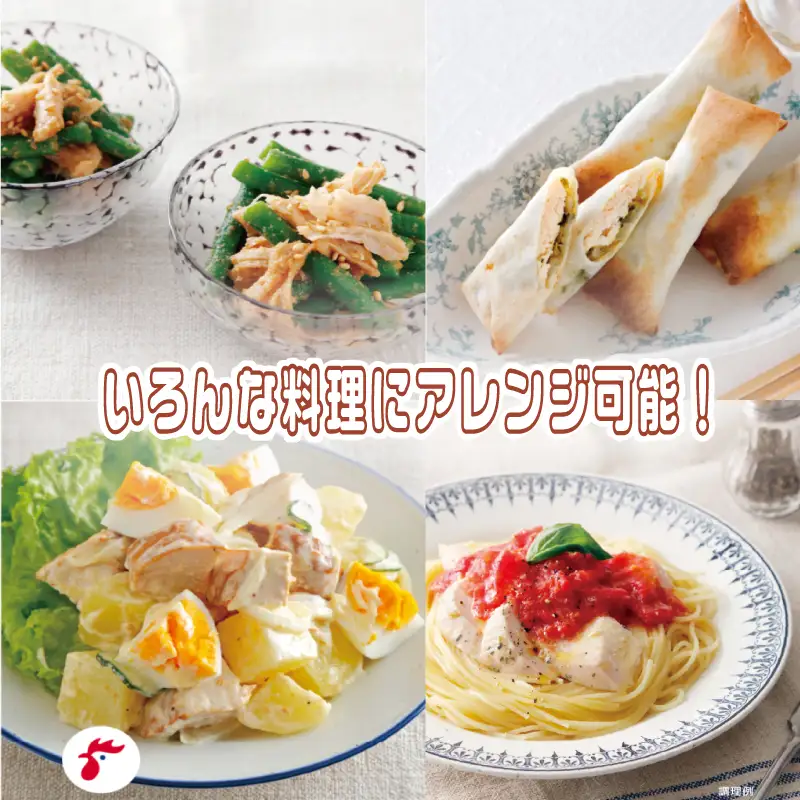 【定期便/3ヶ月】サラダチキン セット 6種 10袋 3回 国産 鶏肉 