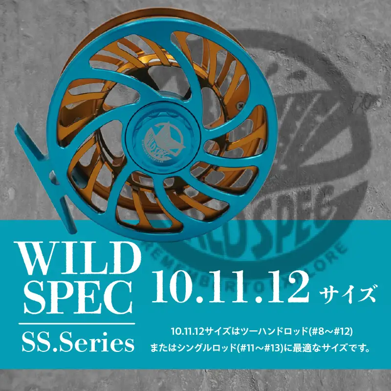 Wild Spec/SS.Series シアンブルー×ゴールド  【10.11.12サイズ】_81-442