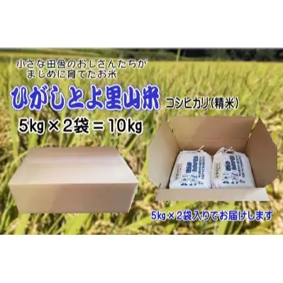 【令和8年産】ひがしとよ里山米 精米10kg(5kg×2袋)【数量限定先行予約受付】