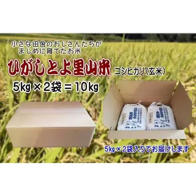 【令和8年産】ひがしとよ里山米 玄米10kg(5kg×2袋)【数量限定先行予約受付】