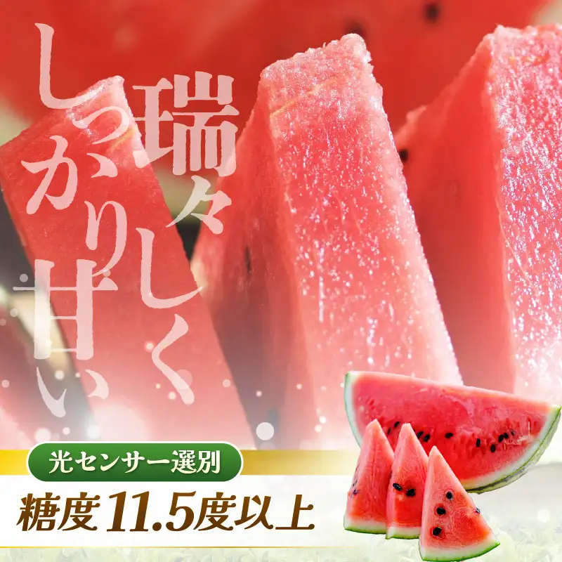 先行予約  大玉スイカ (赤肉) 1玉 糖度11.5度以上 2026年7月上旬以降順次発送予定 [A-22103]