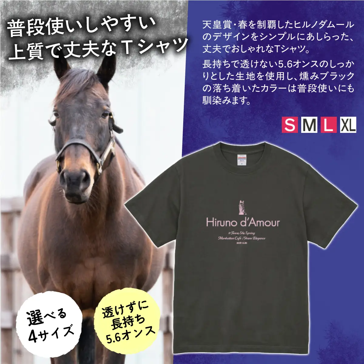 【ヒルノダムール】（燻みブラック）Ｔシャツ 選べる４サイズ【Ｌ】 BRTV300-3