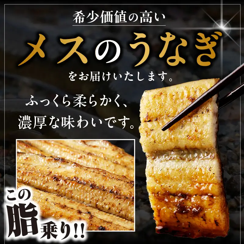 三河高浜産三代目養鰻家の白焼きうなぎ 特大5尾（875ｇ以上）_74-381