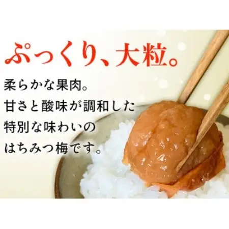 南高梅 はちみつ 梅干し 1kg 塩分 8% 完熟【1583140】