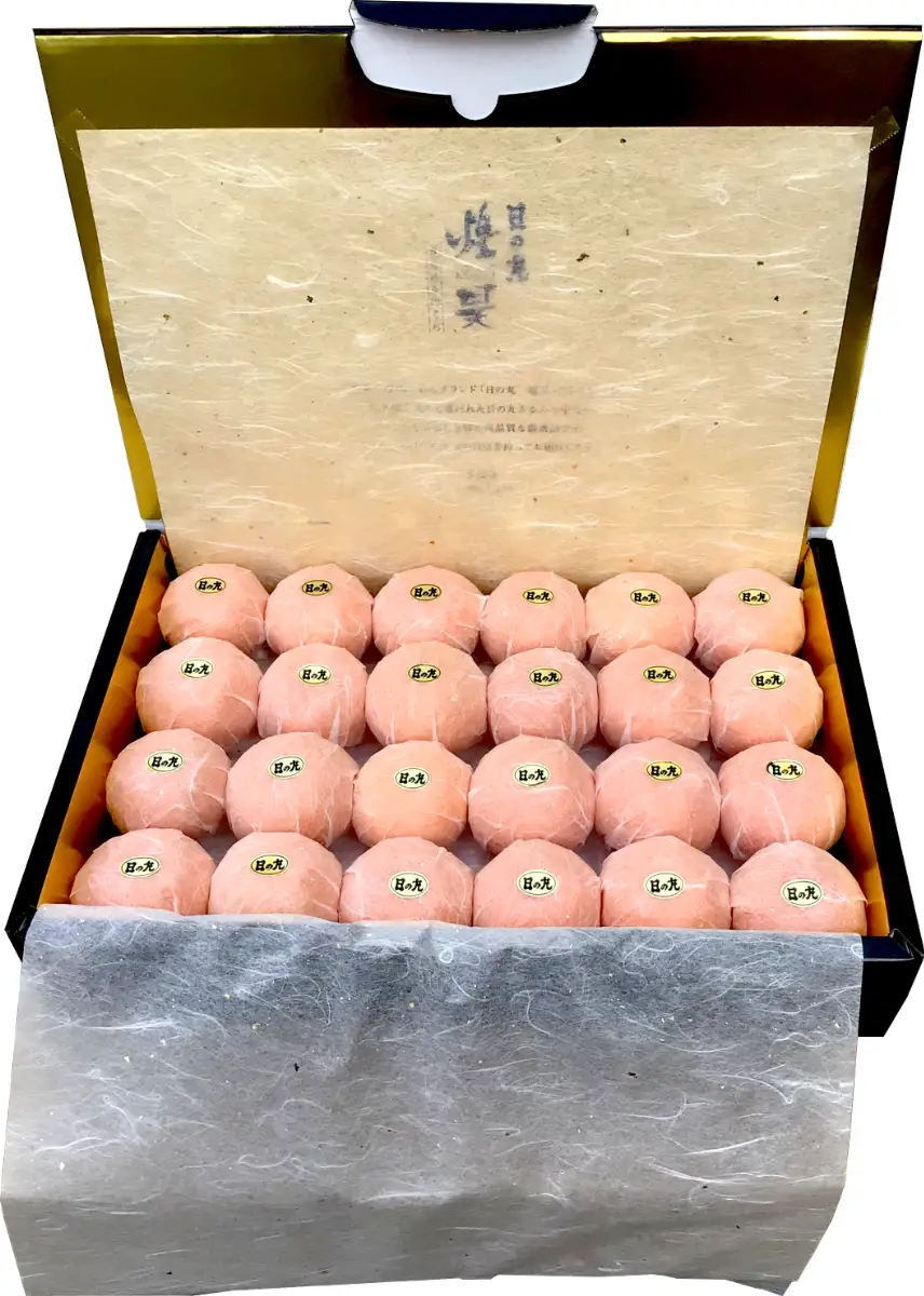 【先行受付】日の丸みかん「煌昊(こうごう)」24個入/個包装/手詰め/高糖度/光センサー使用【G79-1】【1451576】YWTC001