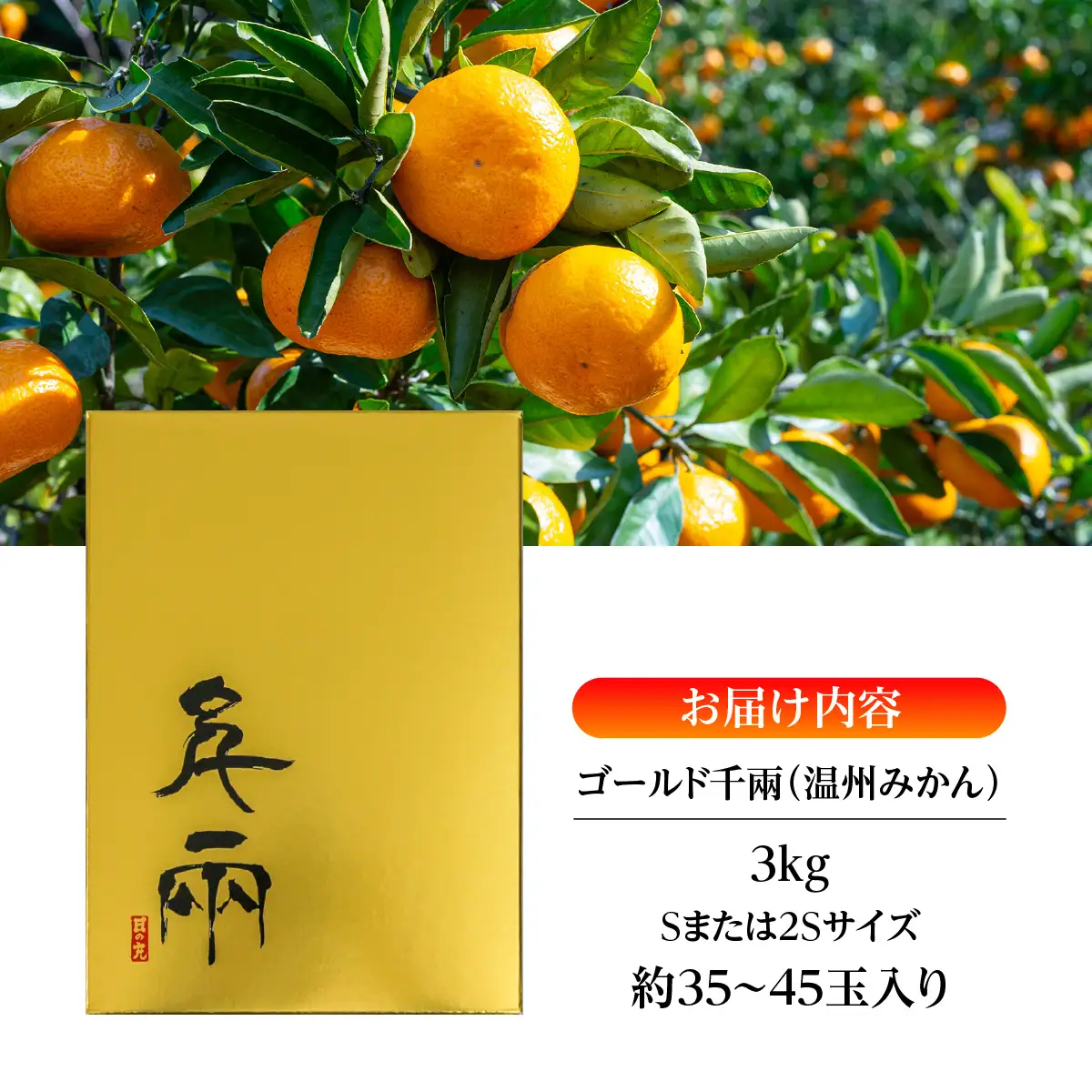 【先行受付】日の丸みかん「ゴールド千兩」3kg　サイズSまたは2S/約35～45個/光センサー【D79-4】【1452026】YWTC004