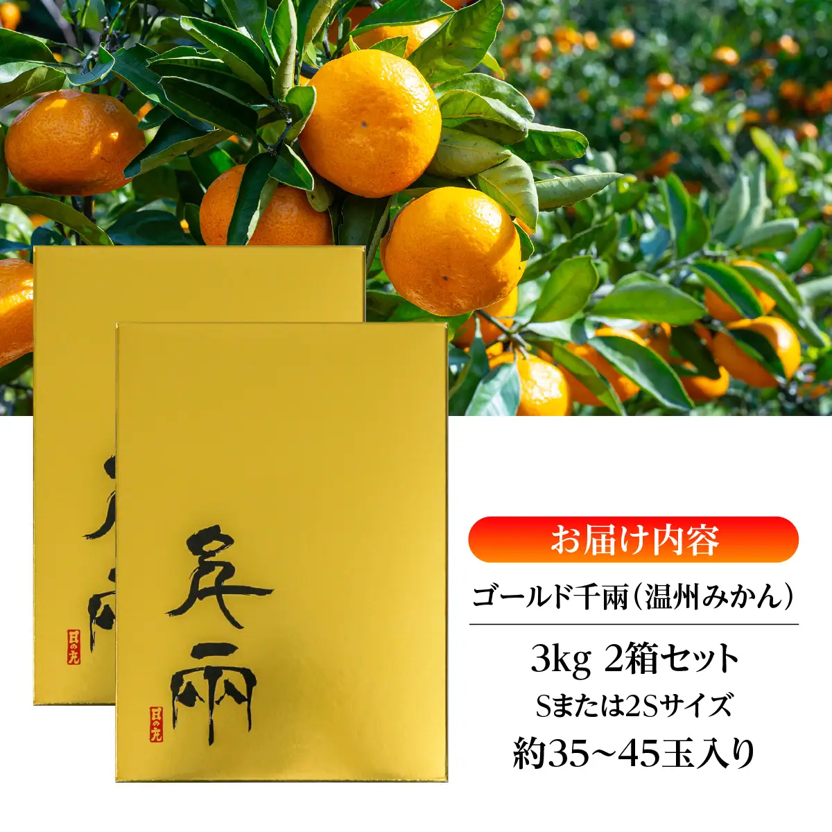 【先行受付】日の丸みかん「ゴールド千兩」3kgサイズSまたは2S/約35～45個/2箱/光センサー【F79-5】【1452027】YWTC005