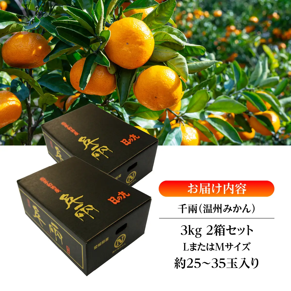 【先行受付】日の丸みかん「千兩」3kg　約25～35個/L・Mサイズ/2箱セット/光センサー使用【D79-7】【1452030】YWTC007