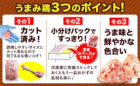 【3ヶ月定期便】鶏肉 もも肉 1.24kg×3