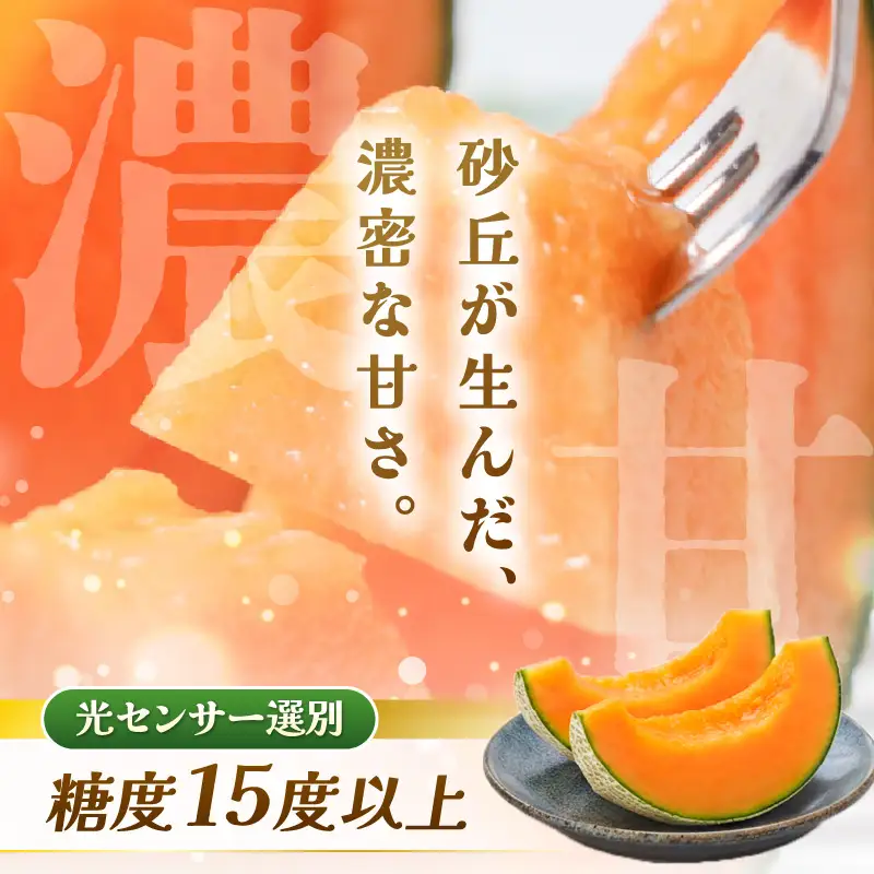 先行予約  マルセイユメロン (赤肉) 2玉 糖度15度以上 2027年6月上旬以降順次発送予定 [B-22101]