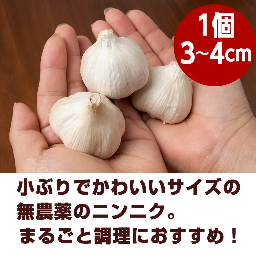【数量限定】予約販売　無農薬ニンニク5kg（500g×10袋）無農薬 にんにくガーリック