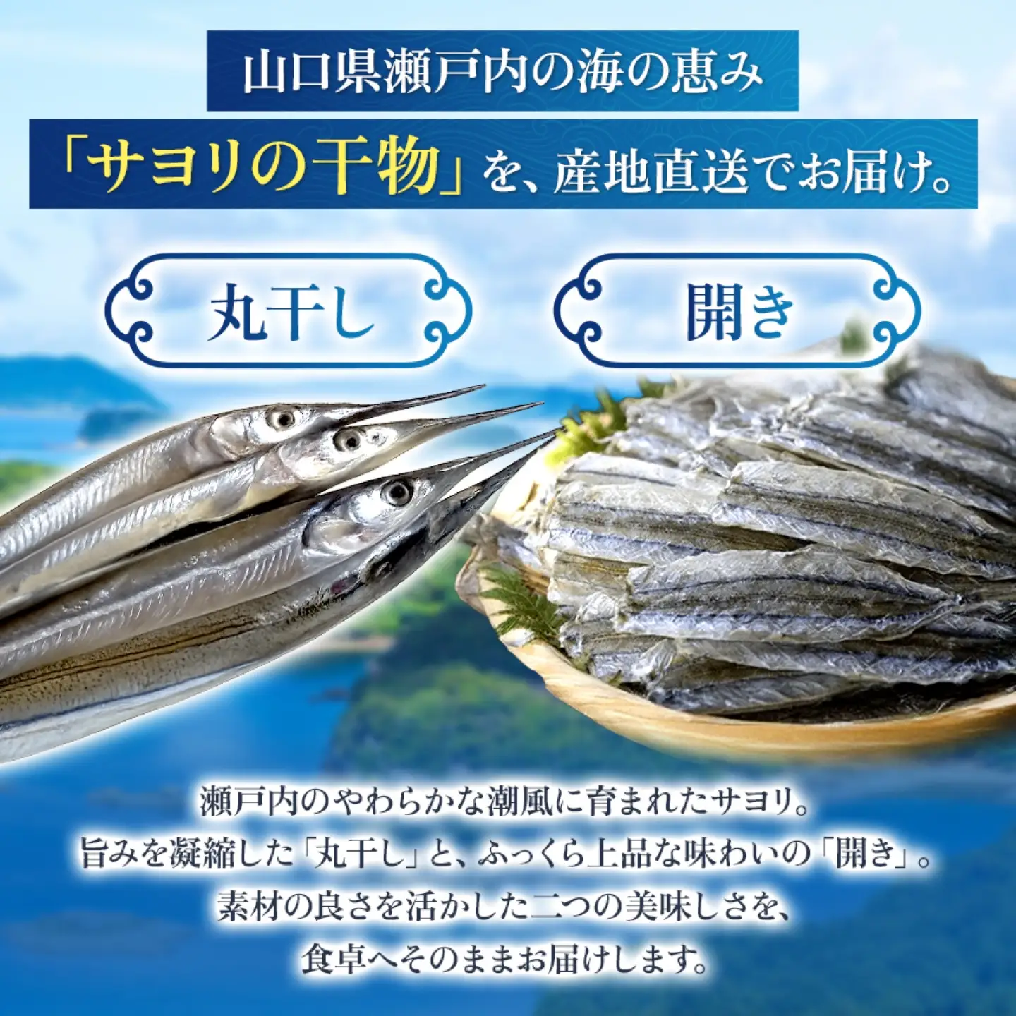 【 定期 】 サヨリ の 丸干し 400g と 開き 50ｇ（赤穂の塩の 使用） 3 回 発送 毎月 お届け便