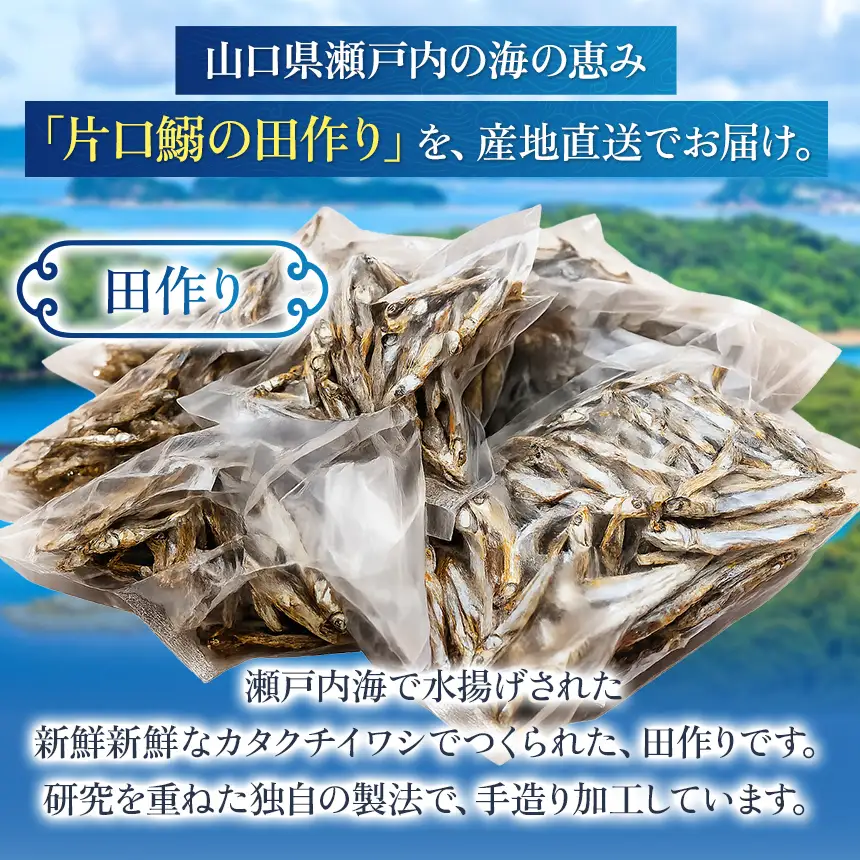 うま味 調味料 不使用 ！ 訳あり 田作り （ 大きめ 約 7 cm ） ( 100 g × 15 袋 )