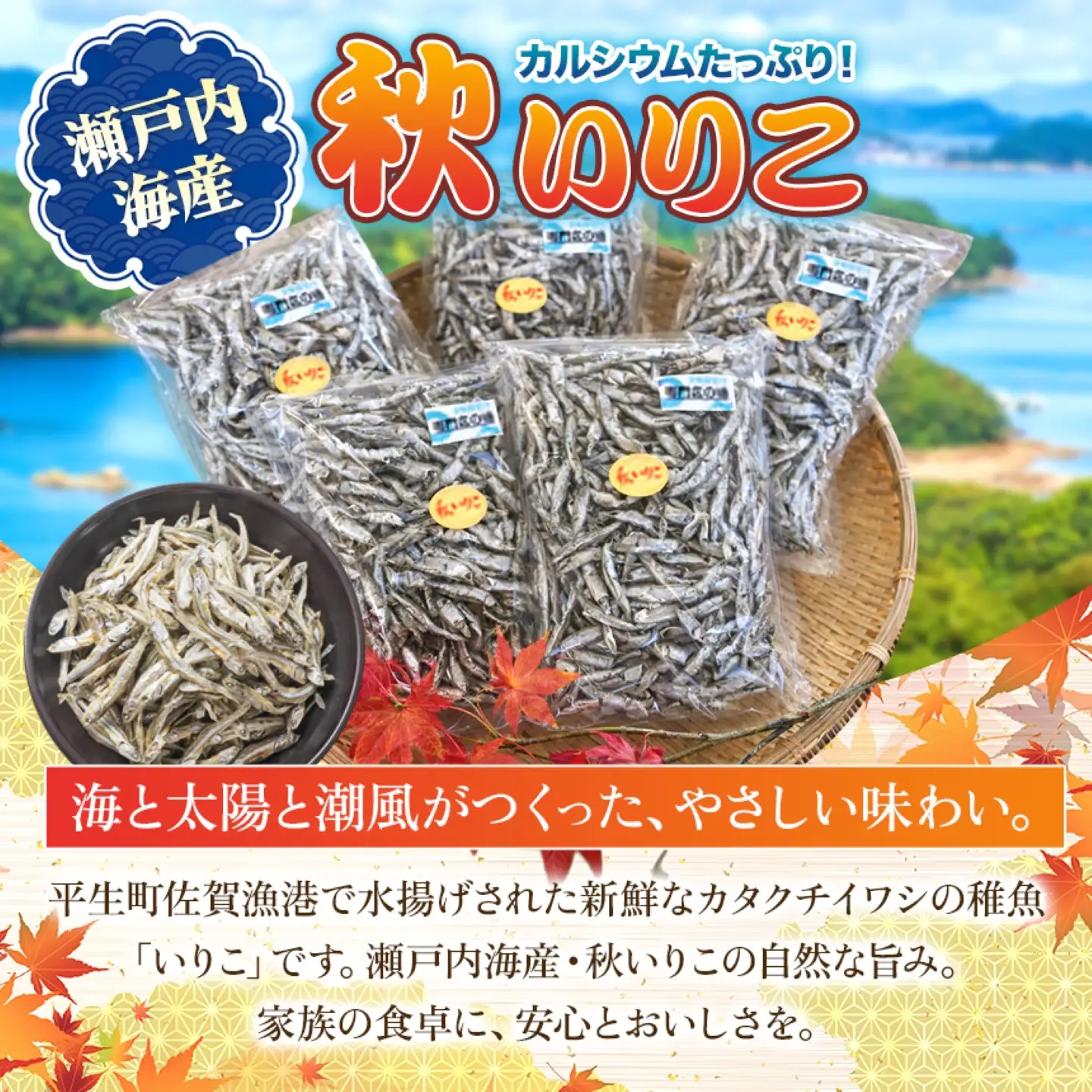 瀬戸内海産　秋いりこ（200ｇ×5袋 計1kg）