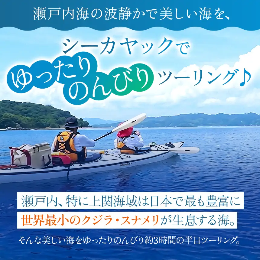 【 体験利用券 】瀬戸内海 シーカヤック スナメリ ウォッチング ツアー （ 1 名様分 ）