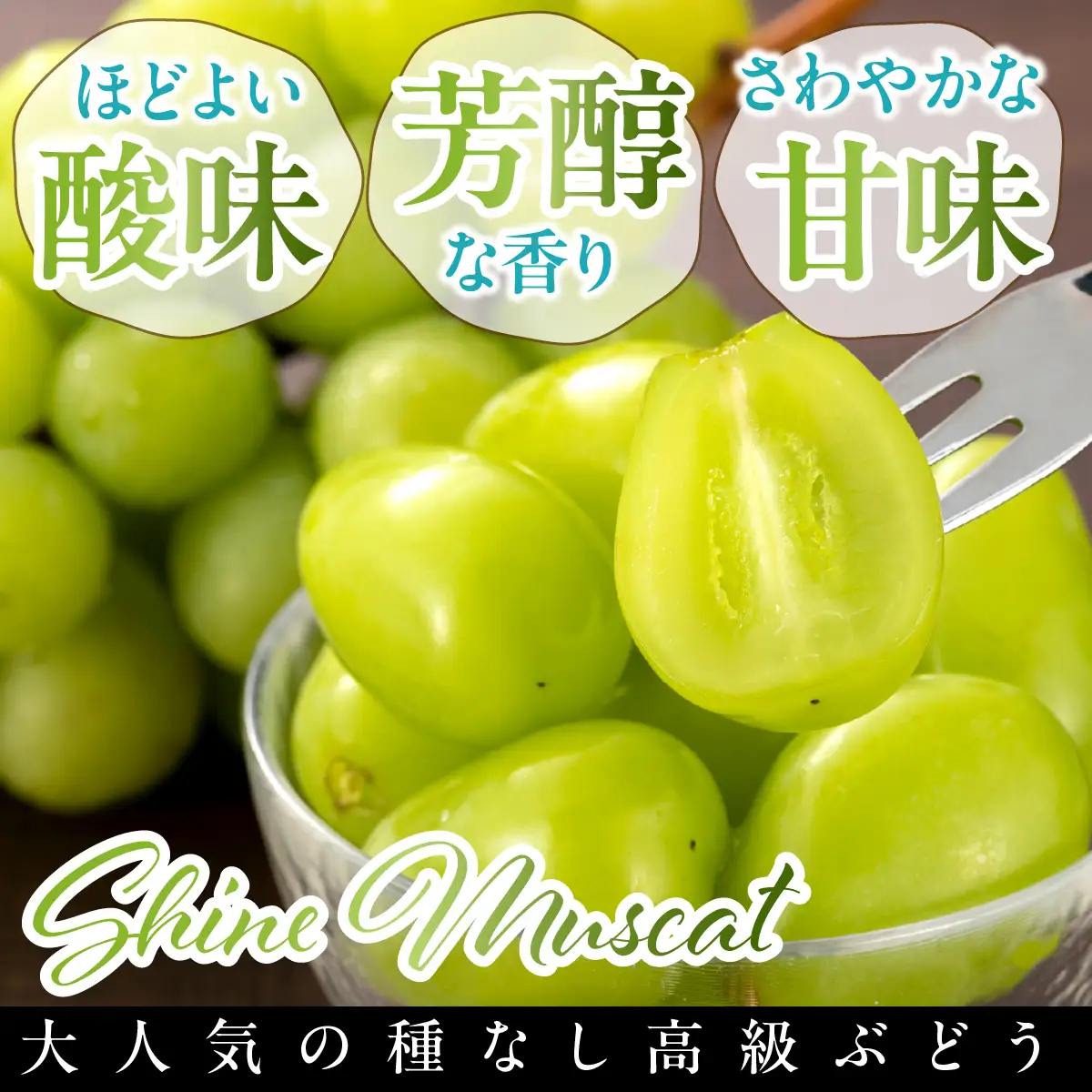＜2026年発送★先行予約＞【鈴木ぶどう園】山梨県南アルプス市産シャインマスカット約1.2kg（600ｇ×2房） ALPGF001
