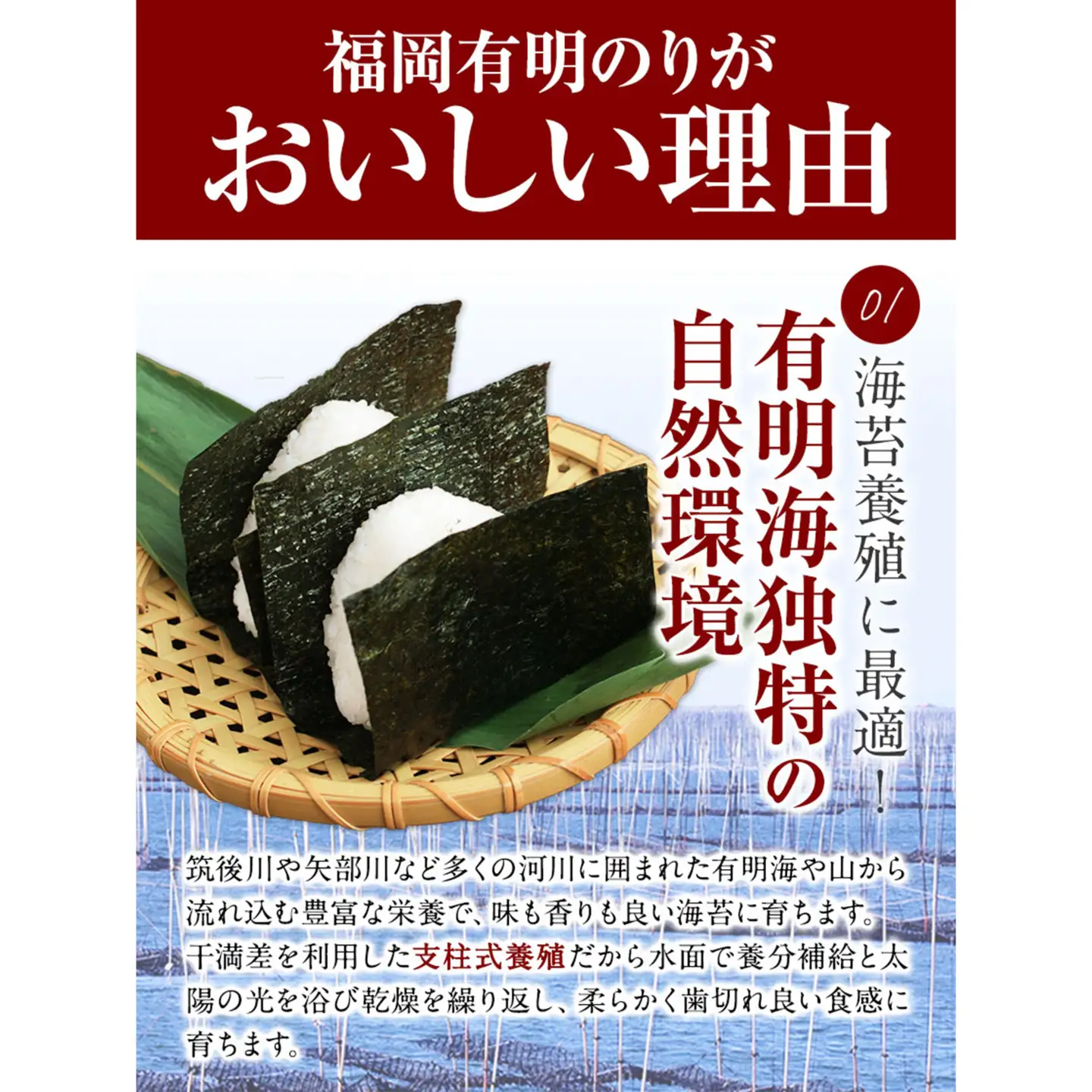 【3ヶ月定期便】有明海苔 全型 120枚 訳あり
