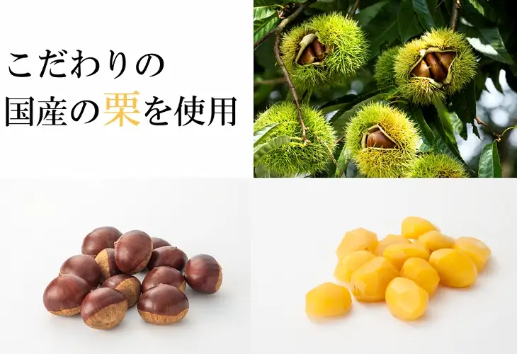 季節限定 岩谷堂羊羹 ひとくち純栗 6個 [F0014]