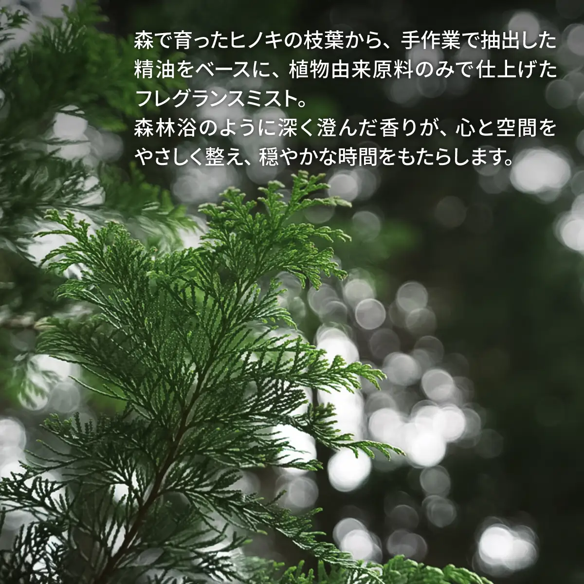 ルームフレグランスミスト | HINOKI LEAF 100ml　HNNBI001