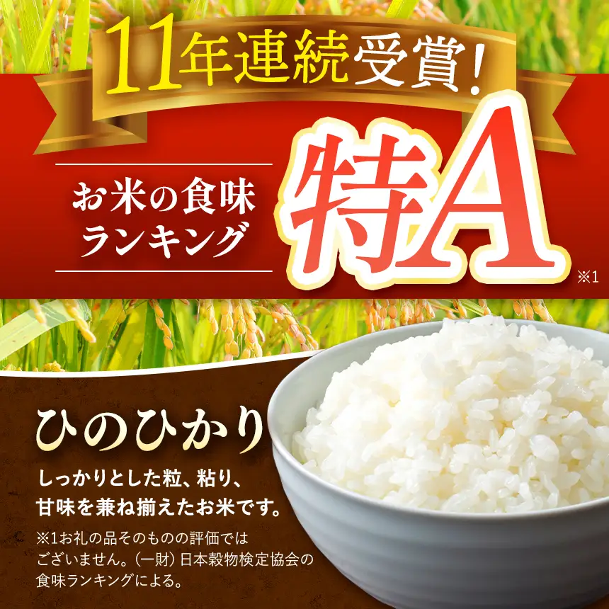 【 定期便 12回 】 熊本県産 白米 ひのひかり 5kg
