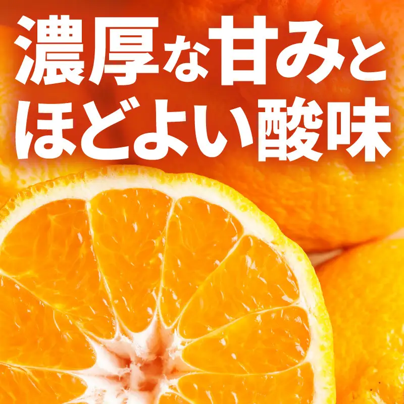 【2027年先行予約】和歌山有田 田村の不知火(田村デコ) 秀品 12～24玉_AB7433