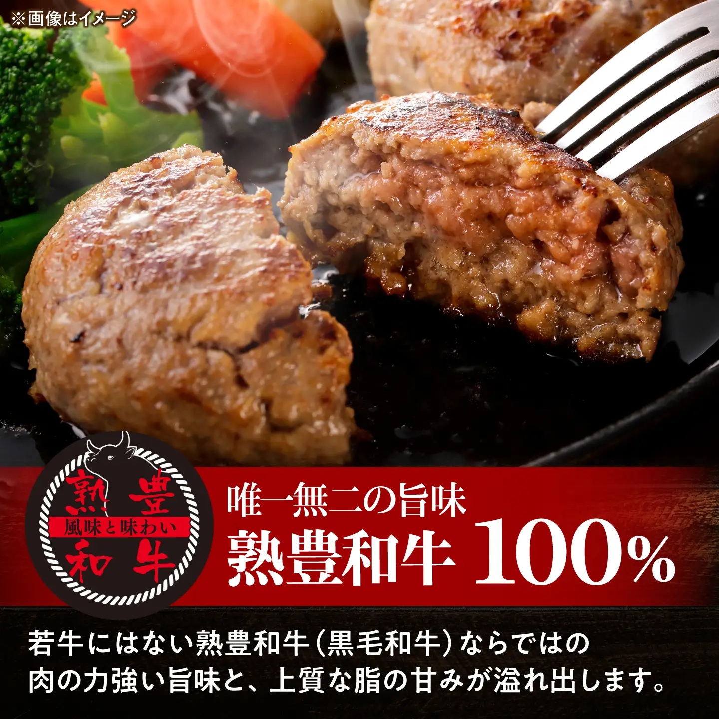黒毛和牛100％トマトソースハンバーグ 計4個 島根県松江市/株式会社MJビーフ[ALIO001]