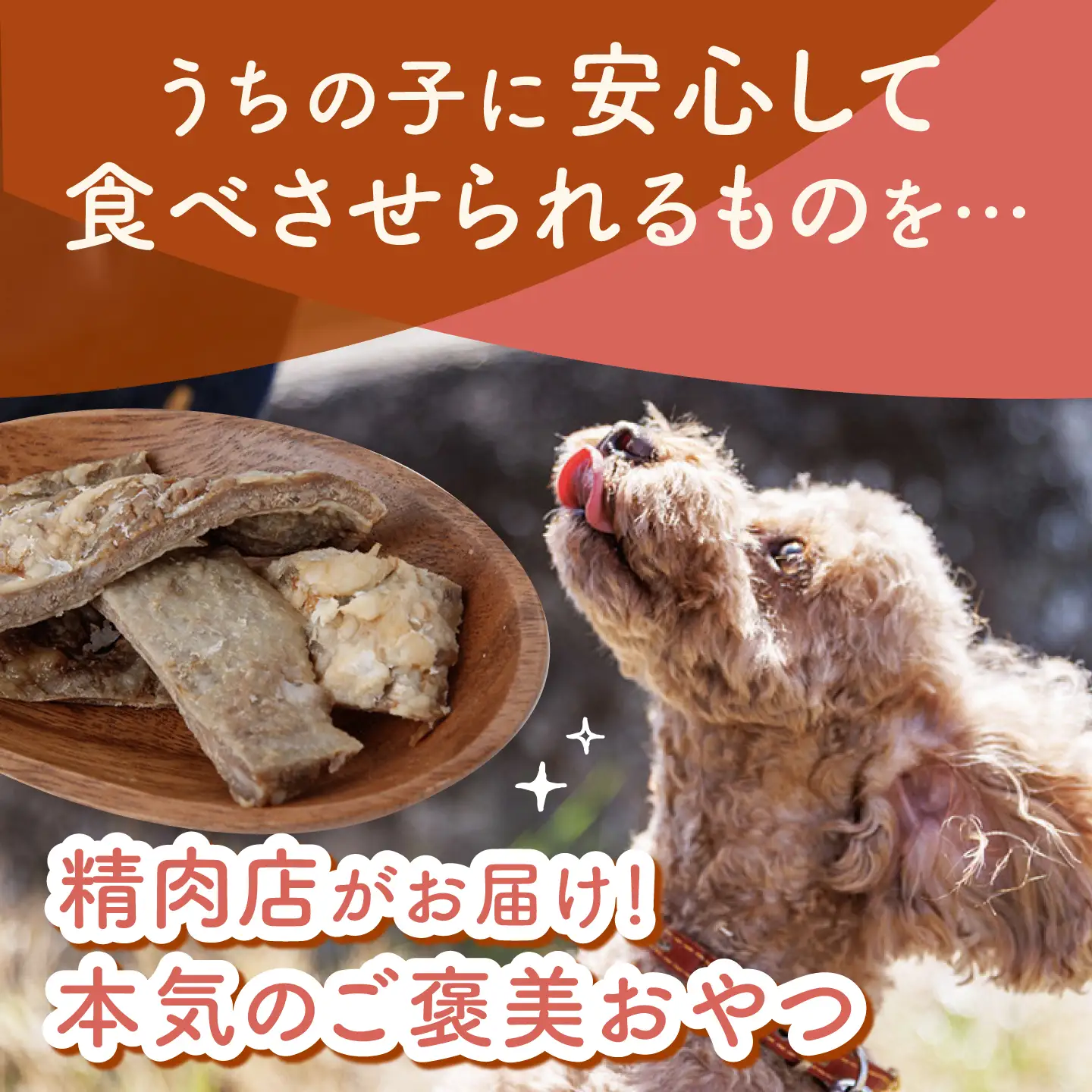【愛犬用】和牛 ビーフジャーキー 200g(50g×4) / 和牛 国産牛 犬 おやつ ドッグフード 手作り シニア犬対応 しつけ ご褒美 / 諫早市 / 野中精肉店[AHCW161]