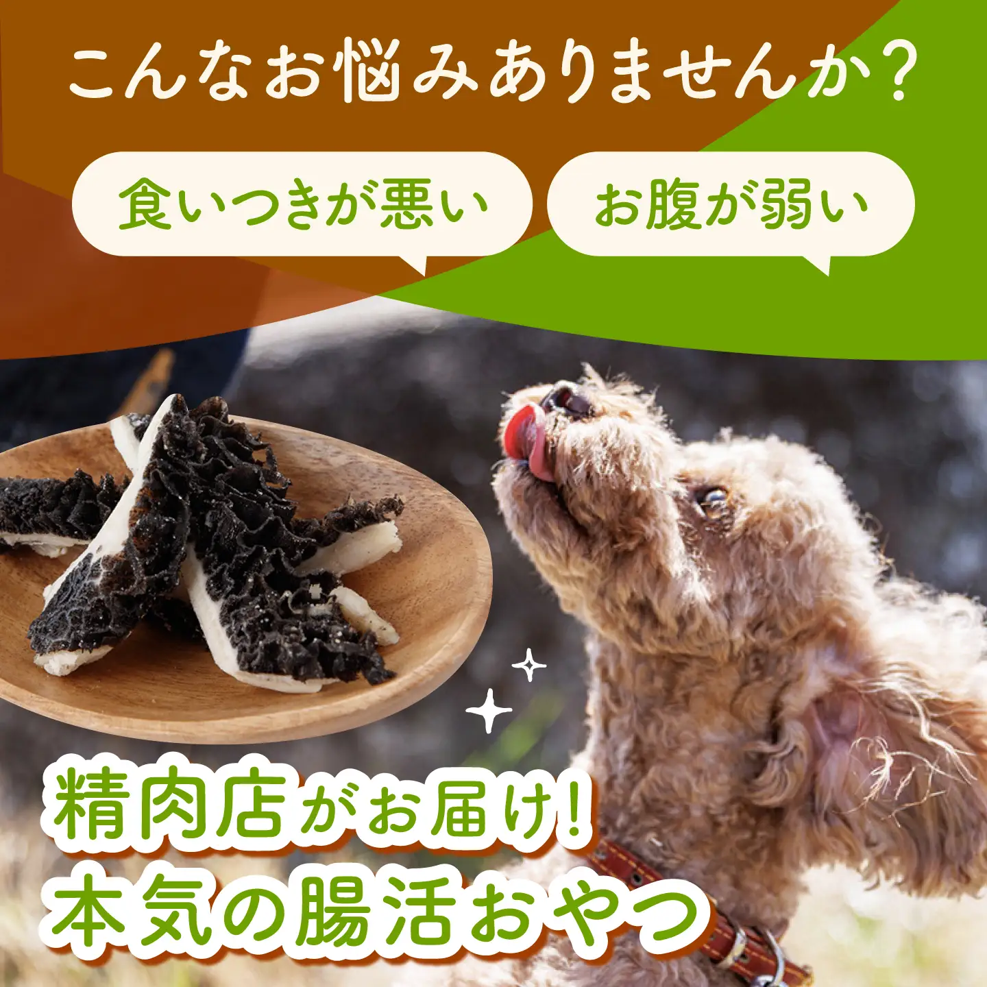 【愛犬用】グリーントライプ ドッグフード 200g(50g×4) / グリーントライプ トライプ はちのす 犬 おやつ ジャーキー 手作り シニア犬対応 しつけ ご褒美 腸活 / 諫早市 / 野中精肉店[AHCW162]