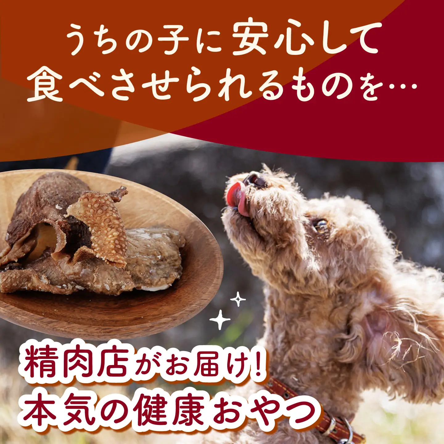 【愛犬用】牛肉ジャーキー 3種セット 各100g(50g×2) / 牛タン 牛たん グリーントライプ トライプ はちのす 犬 おやつ ドッグフード ジャーキー 手作り シニア犬対応 しつけ ご褒美 / 諫早市 / 野中精肉店[AHCW163]