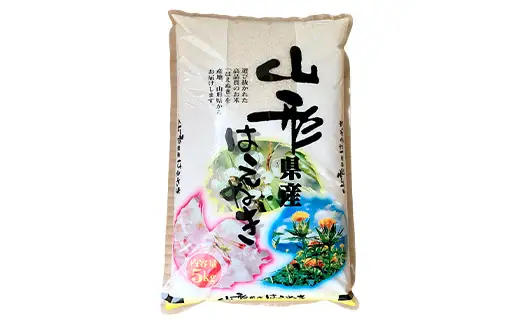 ≪2026年9月発送≫ 令和7年度 山形県産 はえぬき 10kg(5kg×2) 精米 白米 お米 米 米米 新米 ご飯 ごはん ブランド米 銘柄米 2025年産 令和7年度産 家庭用 自宅用 贈答用 お取り寄せ 食品 山形県 戸沢村  F7W-0292