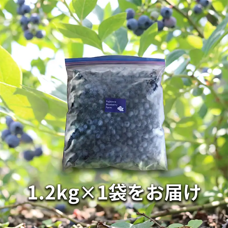 訳あり ブルーベリー 冷凍 1.2kg   blueberry