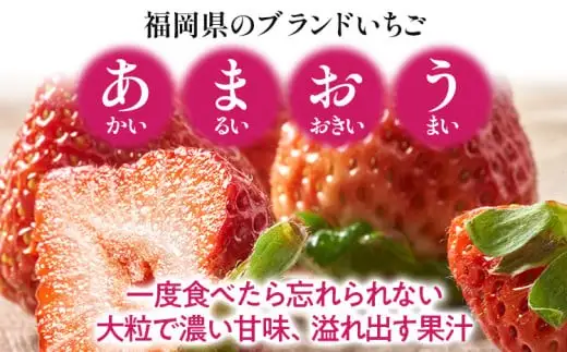 濃厚あまおうジェラート1000ml　CO031