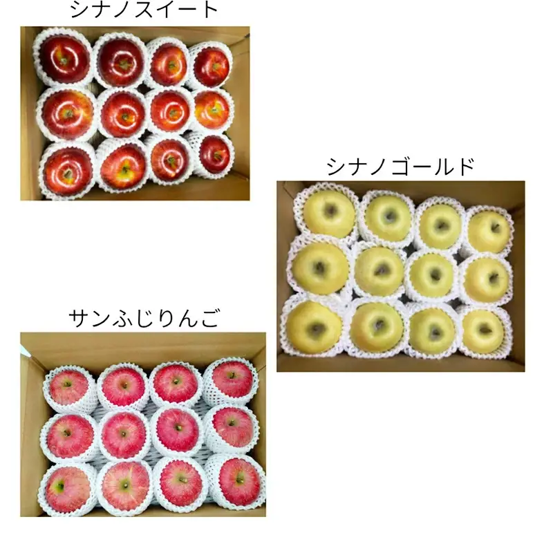 リンゴ好きのためのリンゴ定期便（全3回） FSY-2824