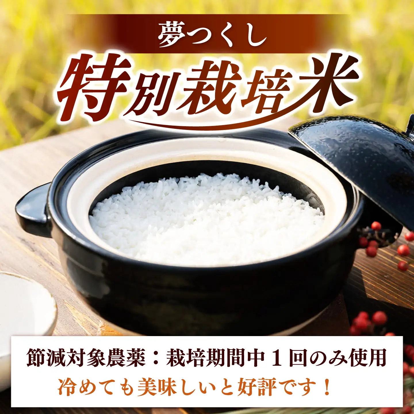 【全3回定期便】とくべつの中のとくべつ  特別栽培米 夢つくし 3kg 【築上町】 / itoshimacco / 株式会社やました[ABEX002]