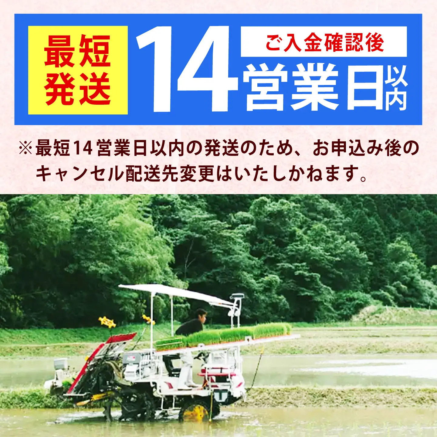 令和7年産　福岡県　夢つくし　5kg 《築上町》【カネガエ】[ABFA001]