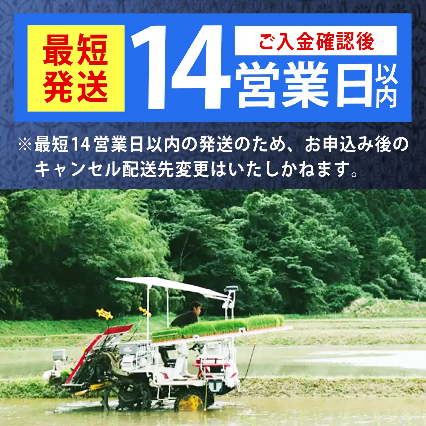 令和7年産　福岡県　元気つくし　10kg（5kg×2袋）《築上町》【カネガエ】[ABFA005]