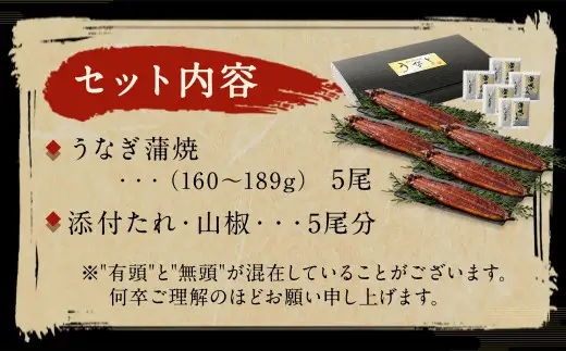九州産 うなぎ 蒲焼 上 5尾 (1尾あたり160～189g)【2026年8月発送】