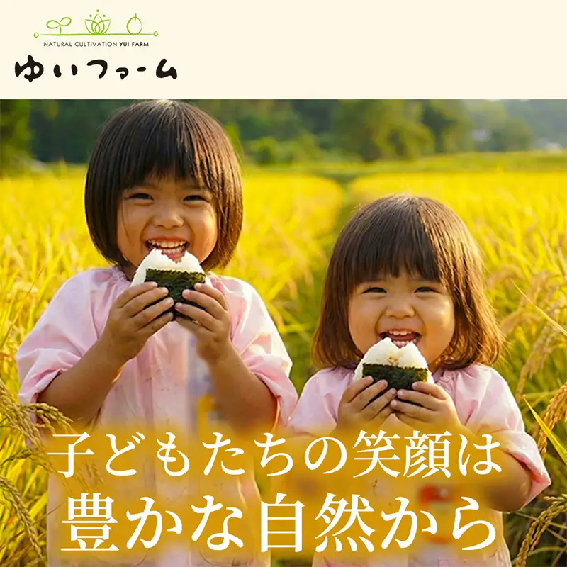 【ふっくら艶やかな粒】自然栽培米5kg 夢しずく(白米) 2袋 精白米 つやごはん 粒立ち良好 もちもち食感 甘みご飯 おにぎり適性 冷めても美味しいご飯 炊飯食材 厳選米穀 国産米