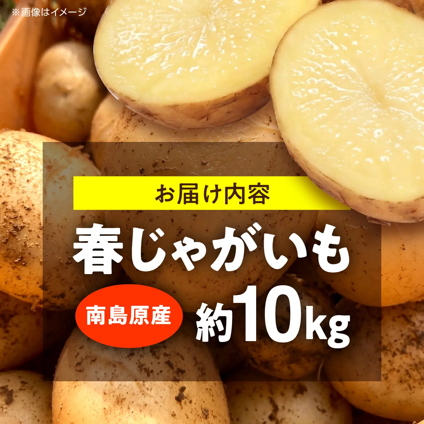 【2027年5月-発送】じゃがいも 約10kg 馬鈴薯 春じゃが / ジャガイモ ばれいしょ 野菜 やさい 芋 / 南島原市 / 株式会社松尾青果[SGU002]