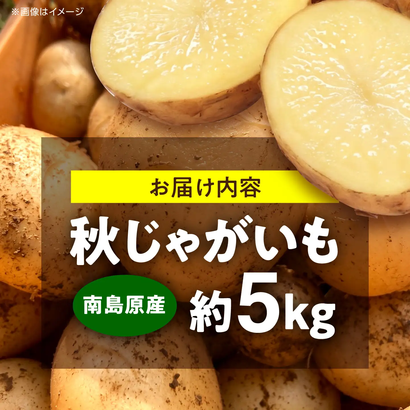 じゃがいも 約5kg 馬鈴薯 秋じゃが / ジャガイモ ばれいしょ 野菜 やさい 芋 / 南島原市 / 株式会社松尾青果[SGU003]