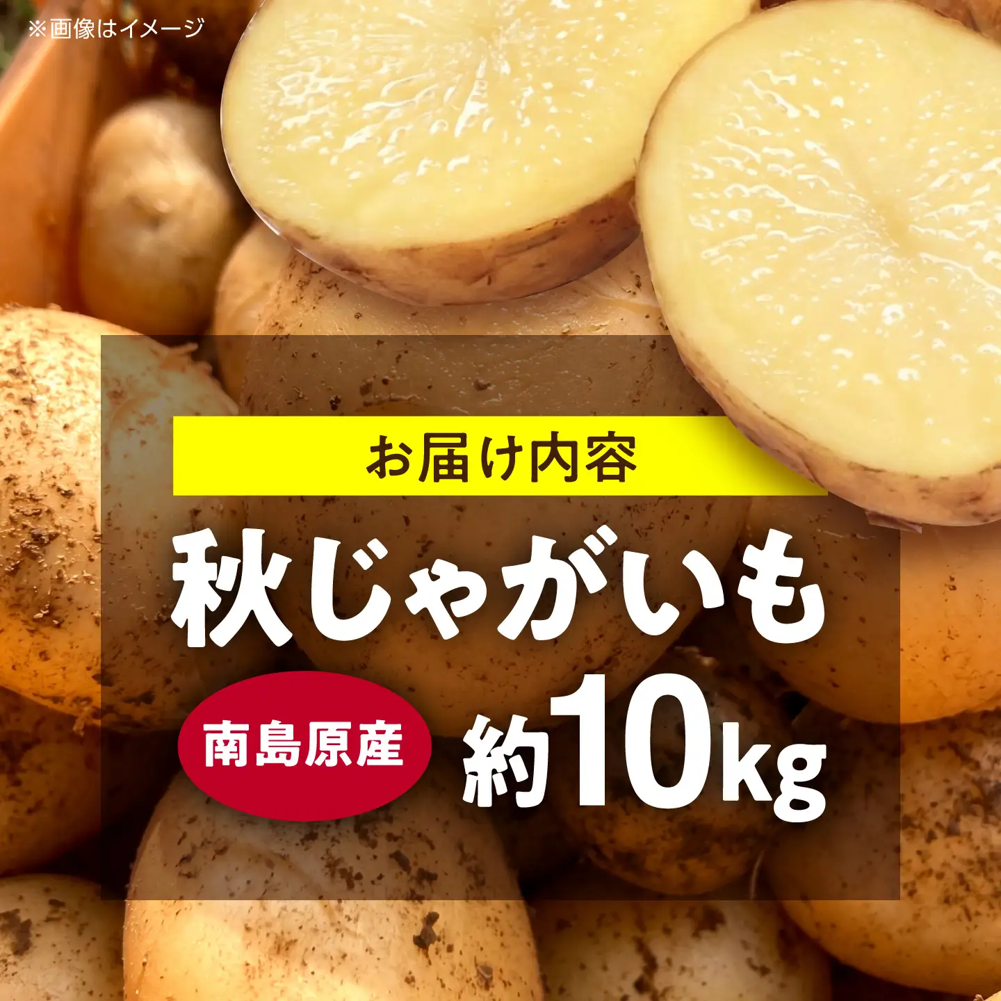 じゃがいも 約10kg 馬鈴薯 秋じゃが / ジャガイモ ばれいしょ 野菜 やさい 芋 / 南島原市 / 株式会社松尾青果[SGU004]