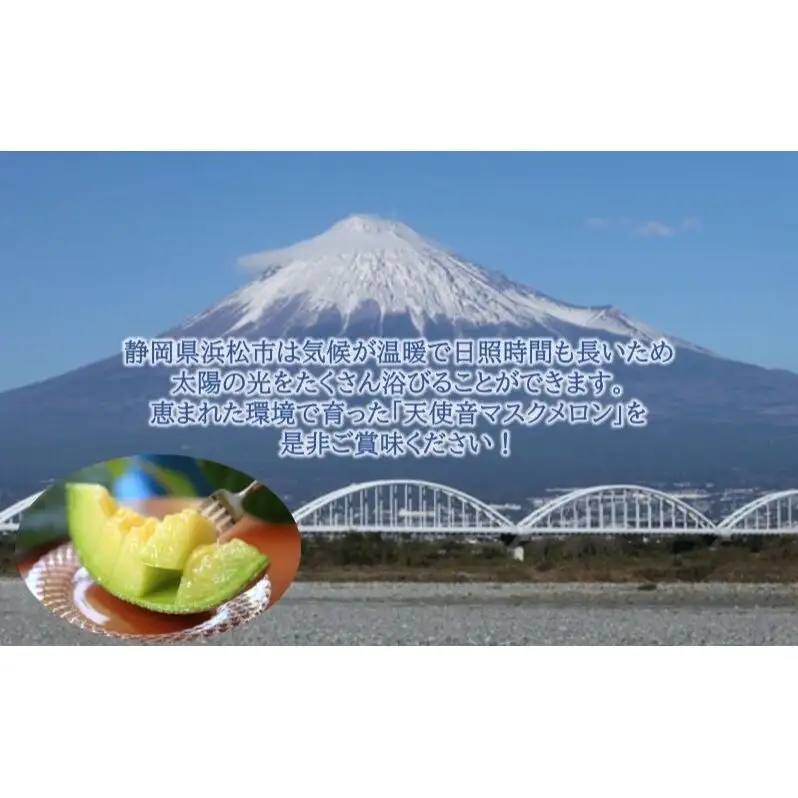 天使音（あまね）マスクメロン グラン・ベベ 1玉（0.8kg～0.9kg）化粧箱入り 高級 フルーツ 果物 メロン 静岡 浜松市【配送不可：離島】