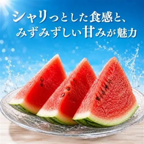 【訳あり】 小玉スイカ　1玉(益城町)【配送不可地域：離島】【1736970】
