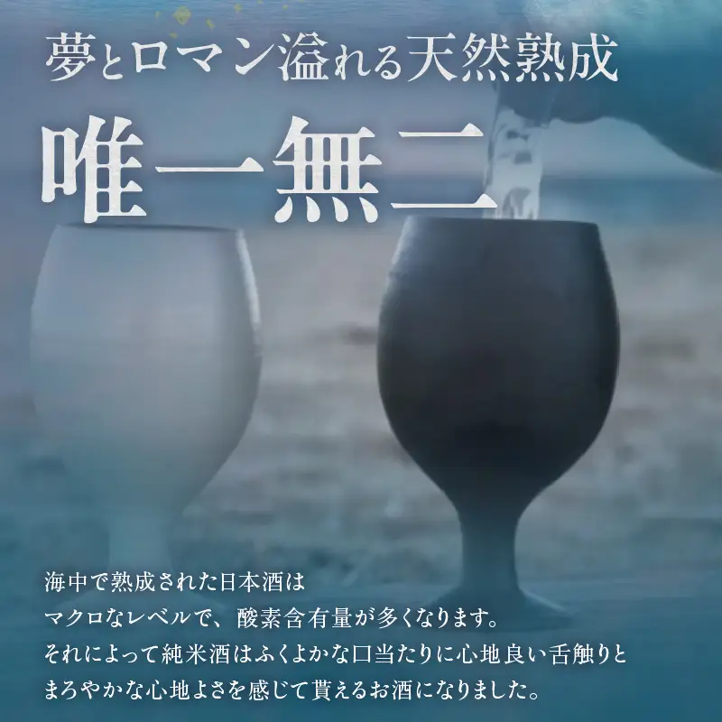 【テレビで紹介！】伊勢湾竜宮熟成酒「たまてばこ」【伊東】│日本酒 酒 常滑市
