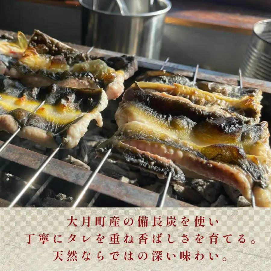 希少 天然 鰻 白焼き 約3-4人前 400g 国産 四万十川 うなぎ ウナギ  白焼 ウナギ白焼 鰻白焼き うな重 備長炭 炭火 炭火焼き 冷凍 湯せん 小分け 贈答 お取り寄せ ギフトご褒美 簡単 土用の丑の日 高知県 大月町