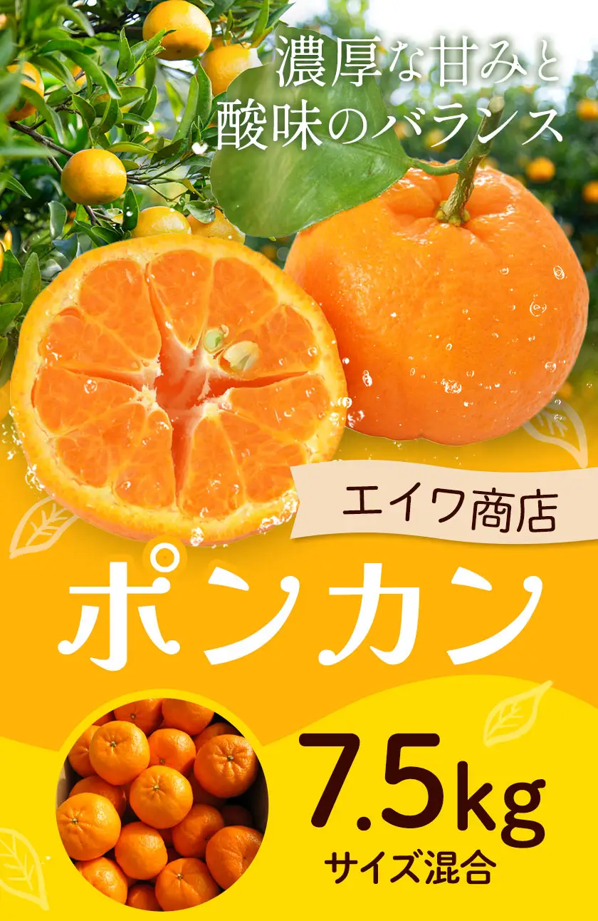ポンカン サイズ混合 7.5kg エイワ商店
