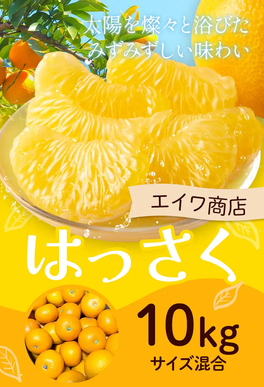 はっさく サイズ混合 10kg エイワ商店