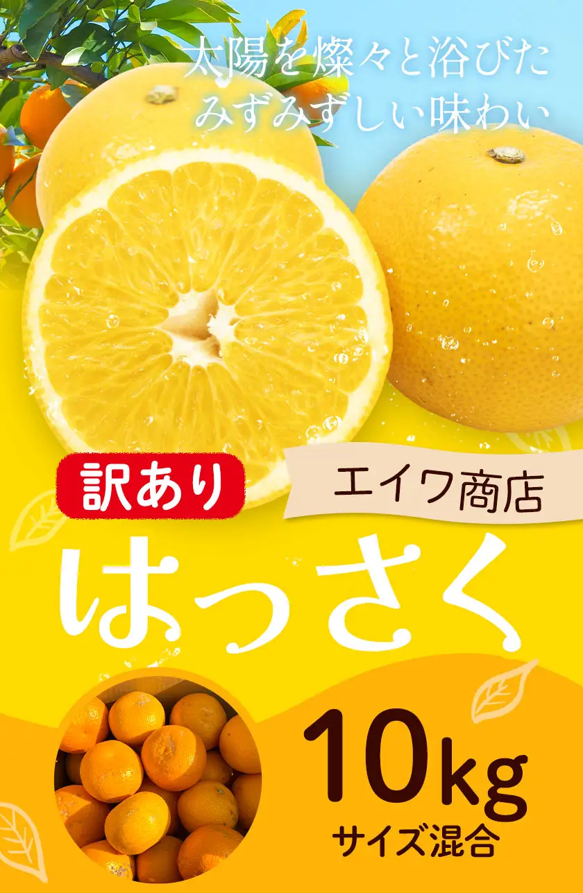 訳あり はっさく サイズ混合 10kg エイワ商店