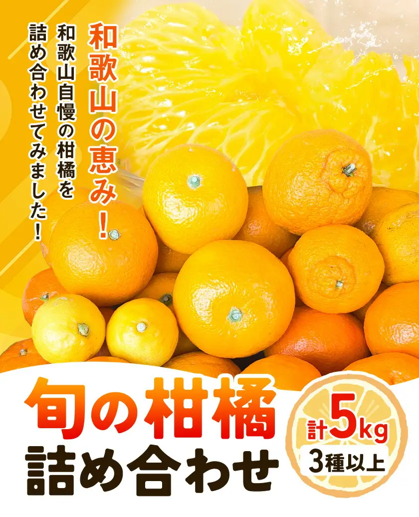 旬の柑橘 詰め合わせ 3種以上 サイズ混合 5kg エイワ商店