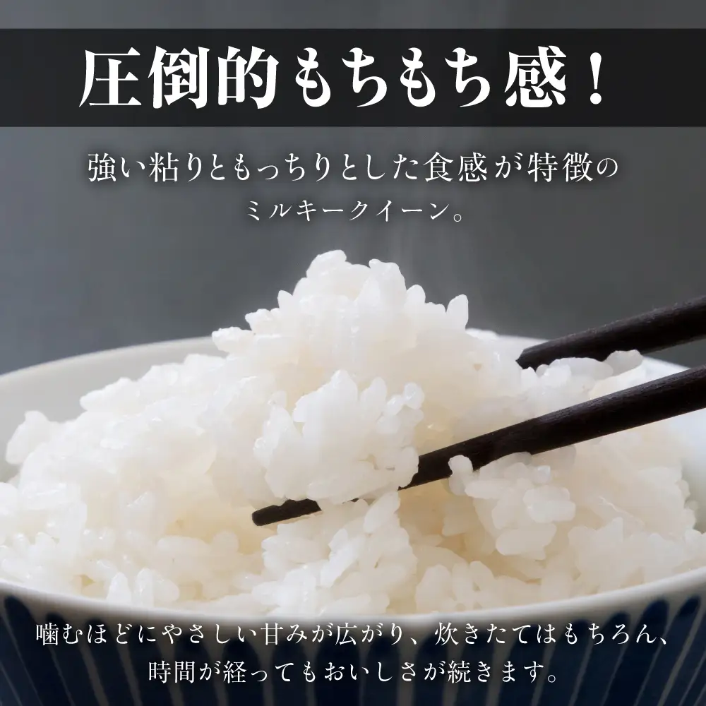 令和7年産 ミルキークイーン 5kg 定期便 12回 白米 ブランド米 ミルキー ﾐﾙｷｰｸｲｰﾝ お米 こめ 米 ※ コメ ご飯 生活必需品 日用品 定期 定期配送 人気 美味しい 取り寄せ 5キロ  12か月 送料無料 愛知県 豊橋市